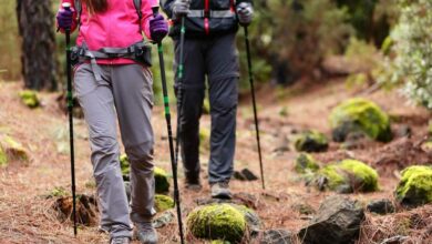 Trekkingstöcke (depositphotos.com)