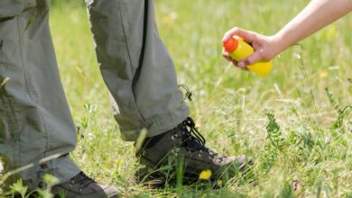 Mückenschutz für Kleidung (depositphotos.com)